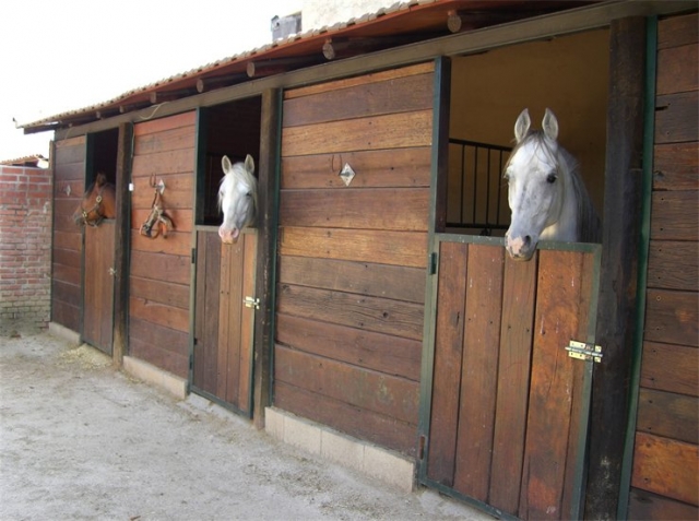RANCHO MONTECARMELO 